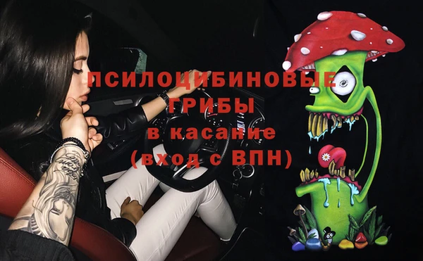 дживик Беломорск