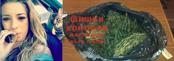 дживик Беломорск