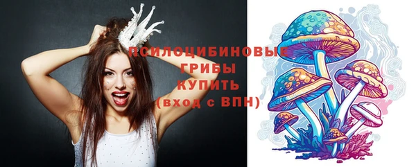 спайс Белокуриха