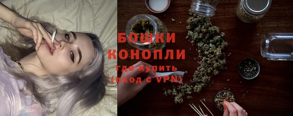 дживик Беломорск